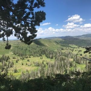 Meet your Posher, Deborah